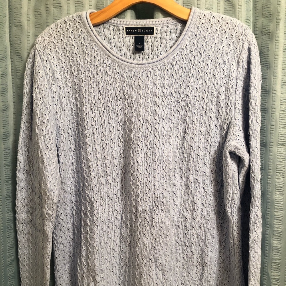 Karen Scott Baby Blue Sweater Large